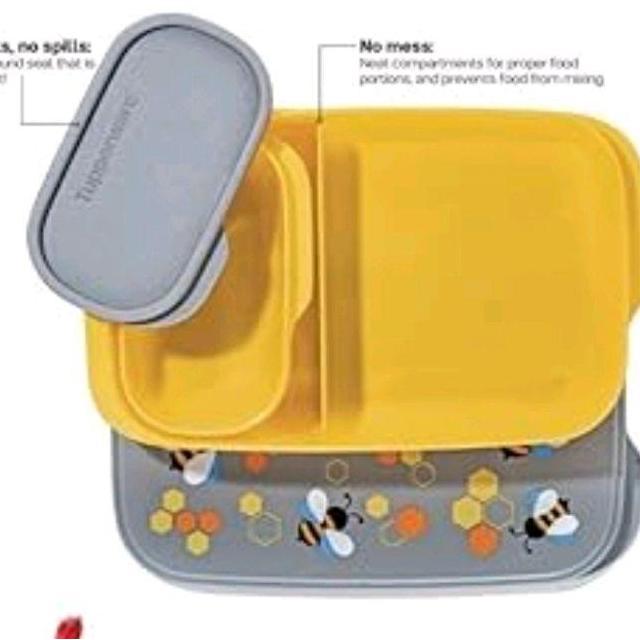 Foodie buddy kotak makan bekal tupperware malaysia kumbang (tanpa tas)