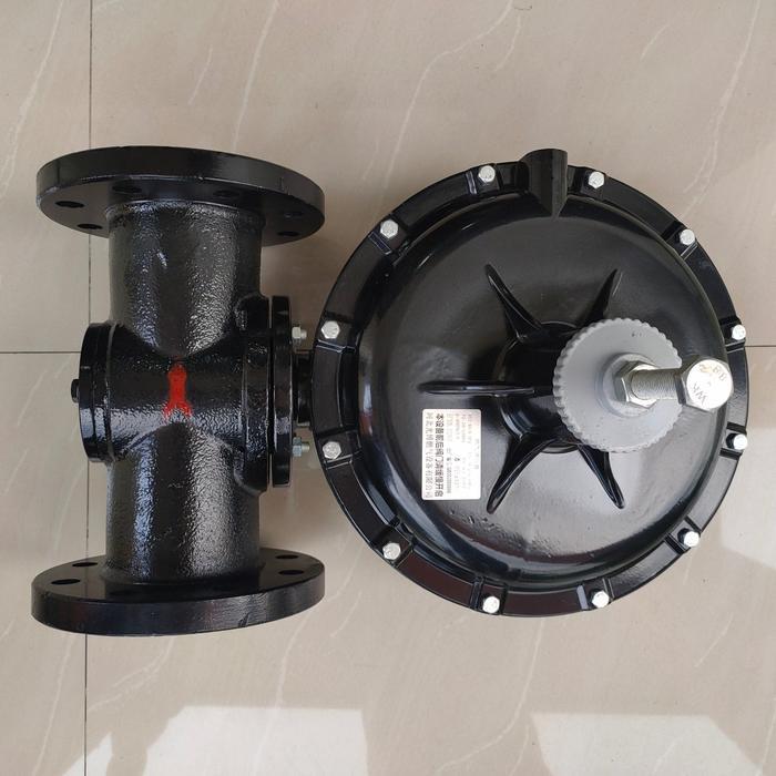 Regulator Gas DN80 /CNG/Gas Alam/LPG, Merk RTZ inlet 1-6 bar