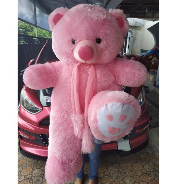 Diskont Boneka Teddy Bear Jumbo / Boneka Beruang Jumbo Syal Telapak Pink Muda /Grosir Boneka Jumbo