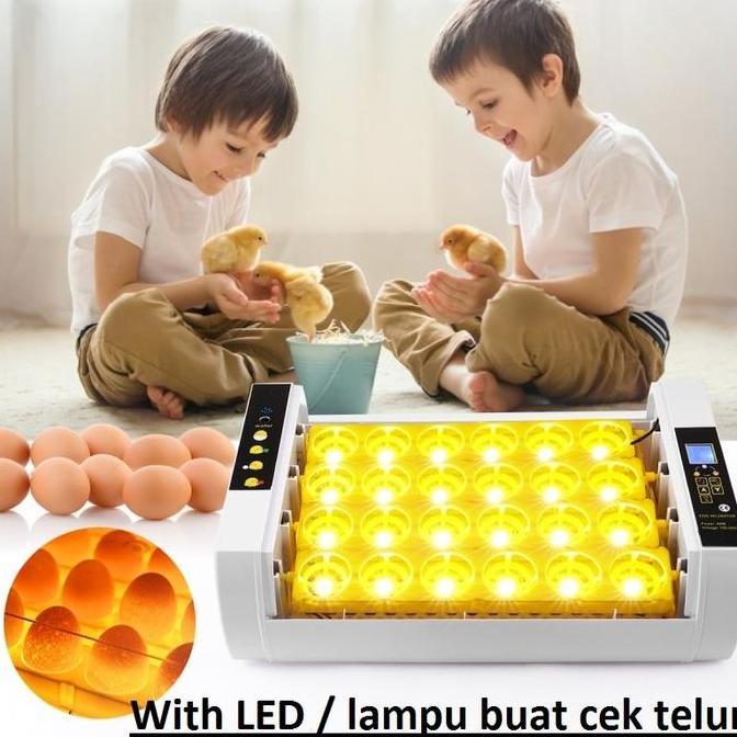 Inkubator Mesin Penetas Telur reptil kura kura burung ayam punyuh