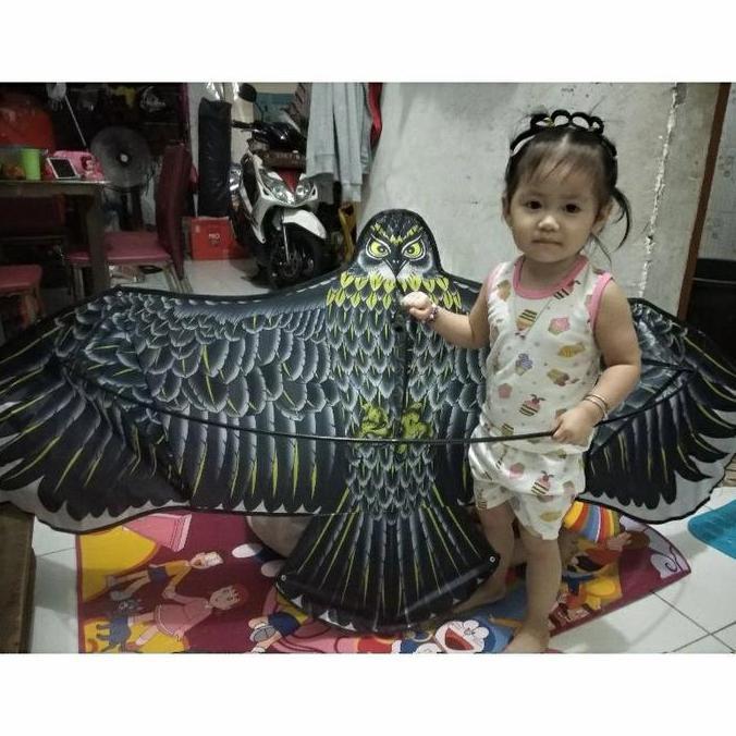 layangan elang jumbo