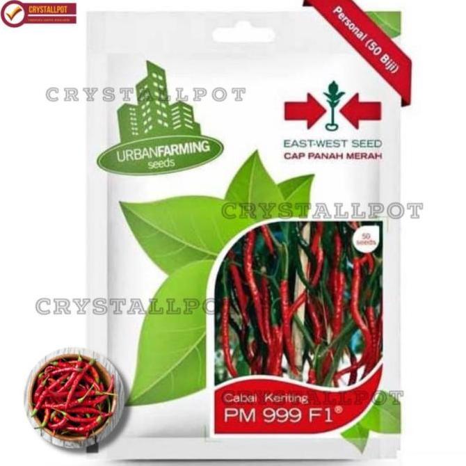 Okwemereza- Benih Bibit Cabe Keriting Pm 999 F1 Cap Panah Merah - Cabai Pm 999 F1