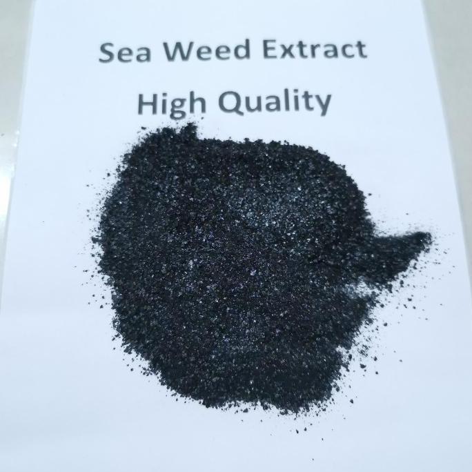 Okwemereza- Pupuk Seaweed Extract Organik ( 500 Gram )