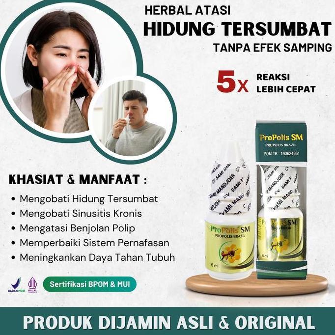 Obat Tetes Hidung Tersumbat, Obat Polip Hidung Herbal - Propolis SM