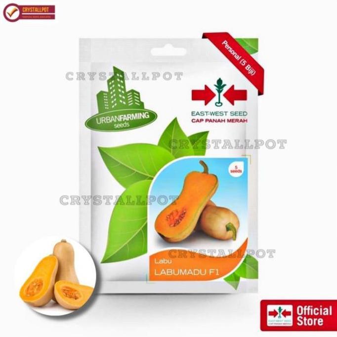 Okwemereza- Benih Bibit Labu Madu F1 Cap Panah Merah - Labu Madu F1