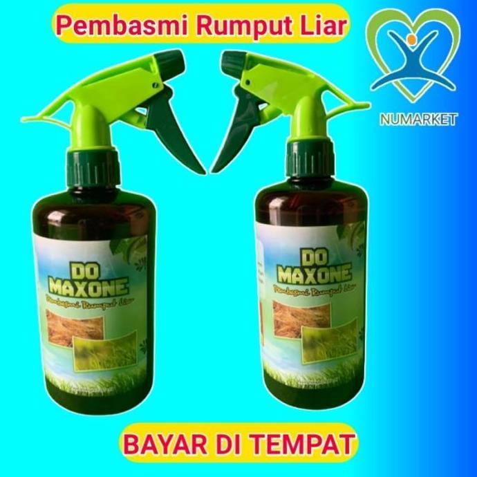 PEMBASMI RUMPUT LIAR OBAT ANTI PENGHILANG RUMPUT LIAR