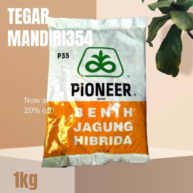 Benih jagung p35 1kg bibit jagung pioner p 35