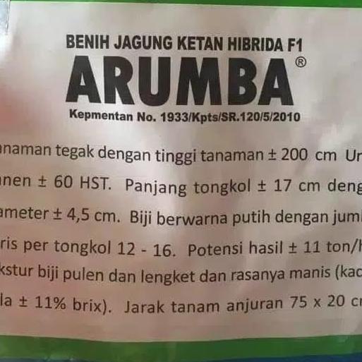 Benih / bibit Jagung putih pulut manis ARUMBA