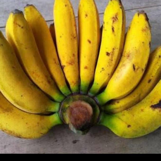 Fruting- Pisang Uli / Pisang Uli / Pisang