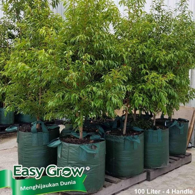 Planter Bag Easy Grow 100 Liter