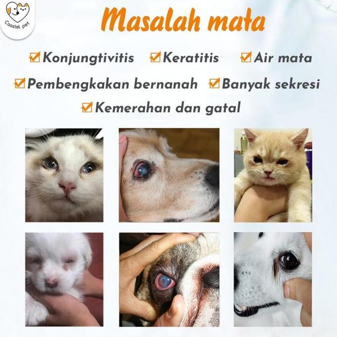 Catbull- Cassiel Pet Obat Tetes Mata Dan Cairan Pencuci Mata Untuk Kucing Dan Anjing, Digunakan Untu