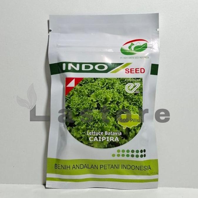 Parkx- Benih Selada Caipira Isi 500 Pills Lettuce Batavia Indo Seed
