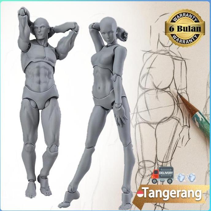 MENDA Figuart Body Kun / SHF Body Kun / Action Figure Model Male Female Body Archetype Model