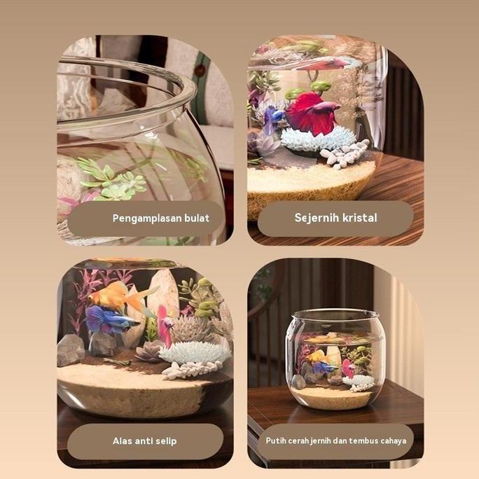 Murah Vixplorn Aquarium Bulat Mini Bulat Aesthetic Aquarium Tank Cupang Mini Vas Aquarium Bulat Ikan