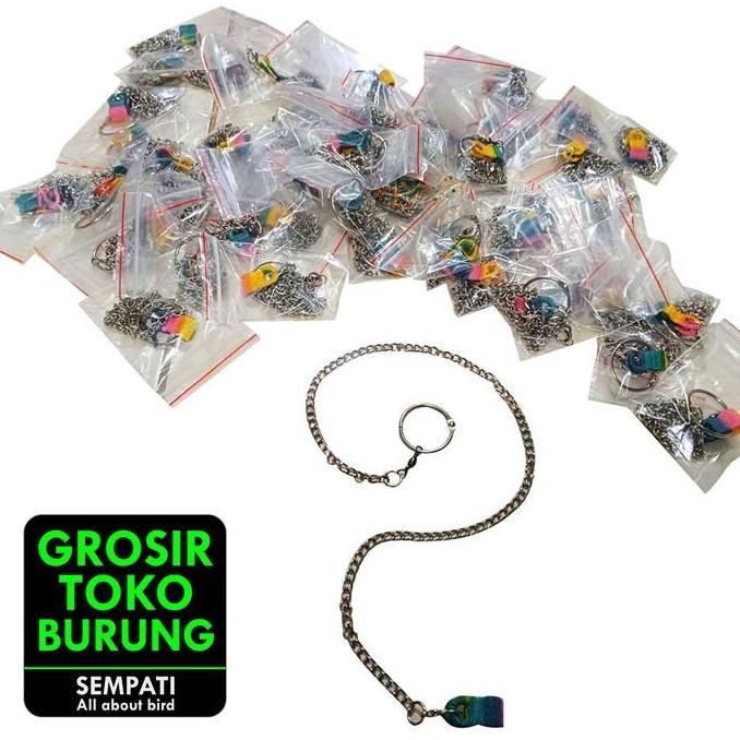 SEMPATI GROSIR Rantai Borgol Burung Nuri Falk Parkit Parrot Hantu Isi 10 Pcs Rantai Kaki Burung Lati