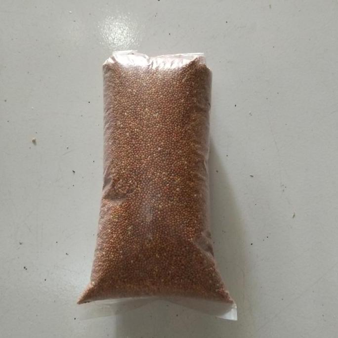 JEWAWUT PAKAN MAKANAN BURUNG PERKUTUT,BLACKTHROAT 500GR