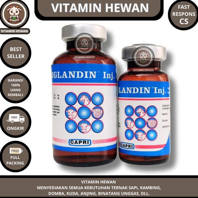 CAPRIGLANDIN INJ 10 ml - Hormon Sinkronisasi Estrus Sapi Kambing Domba