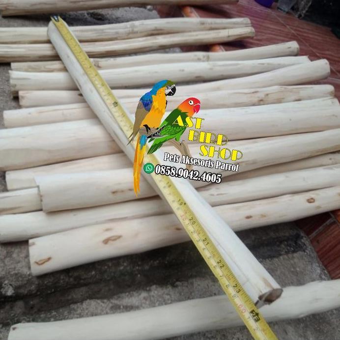 Tangkringan kayu kopi parrot panjang 60 cm