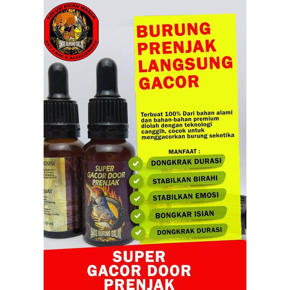 SUPER GACOR DOOR PRENJAK PENGGACOR SEKETIKA