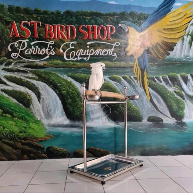 Tangkringan stainless burung kaka tua / macaw