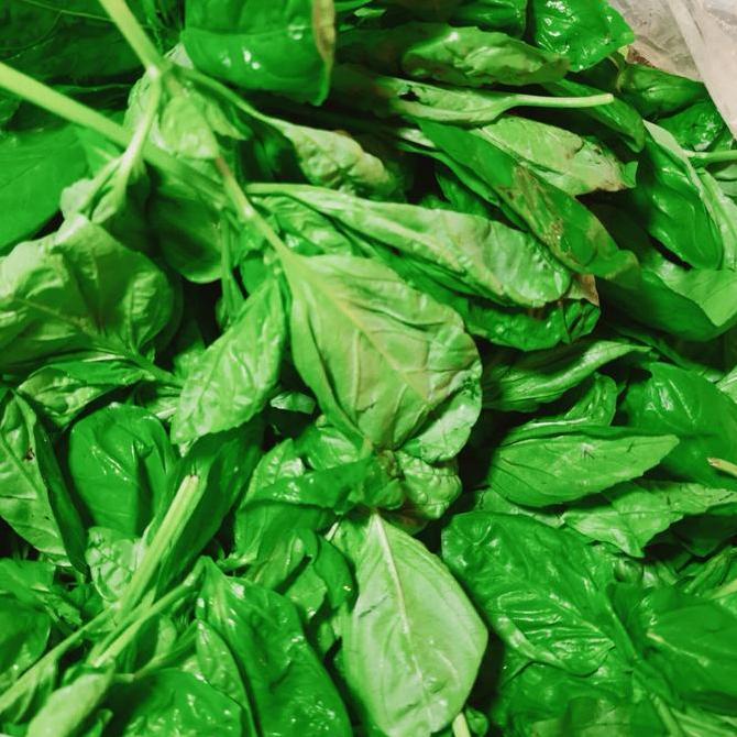 Basil Fresh 1 Kg