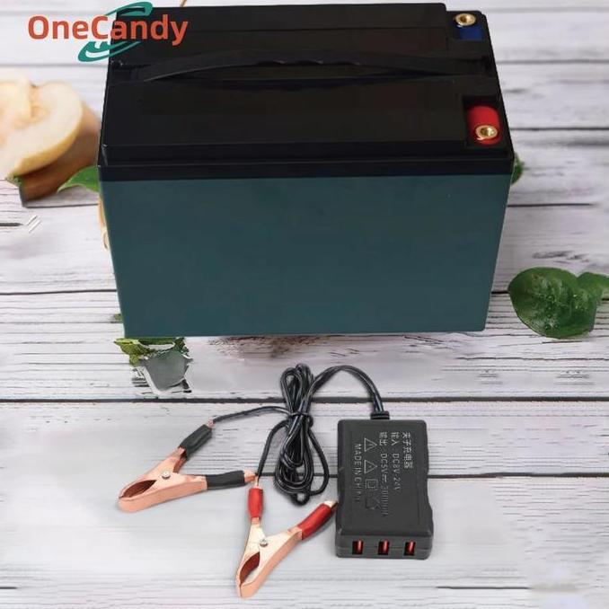 ASTAROL Charger DC HP Ke Aki Motor Charger Cas Aki Motor HP USB 3 Port Universal Charger Aki Accu Mo