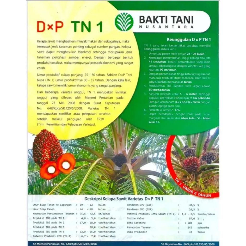 Benih sawit TN1 bakti tani nusantara