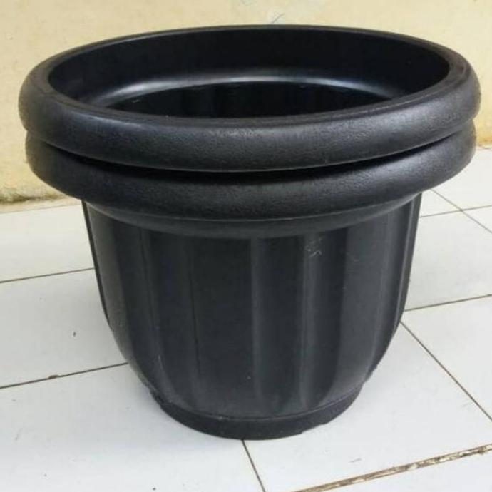 pot diameter 50 cm