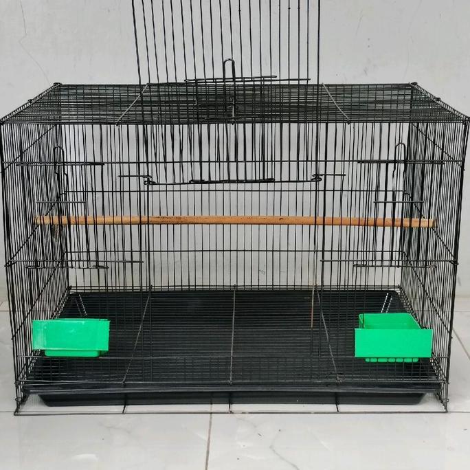 Ready Sangkar Kandang Umbaran burung  Size Large L 60x40cm Ekonomis Fullset Free 2 Cepuk Plus Tataka
