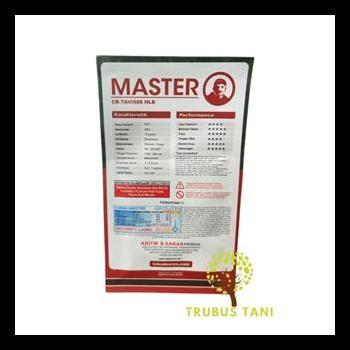 Promo / Benih Cabe Rawit - Master - 10 Gr
