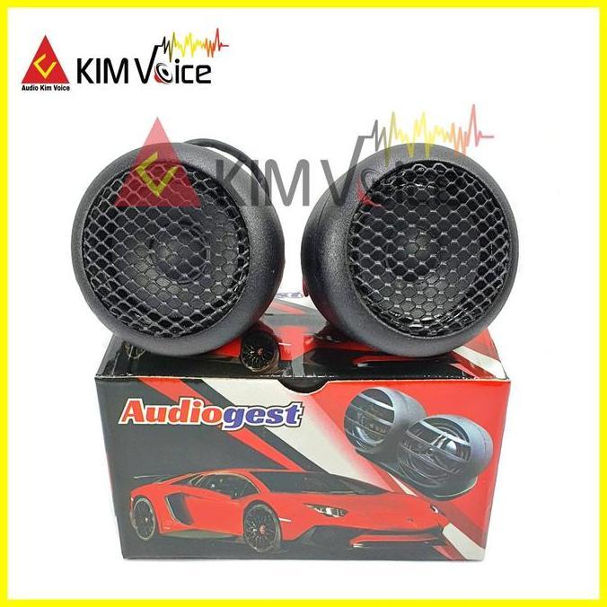 Speaker Fullrange Audiogest 2 Inch Fullrange Celavin Design