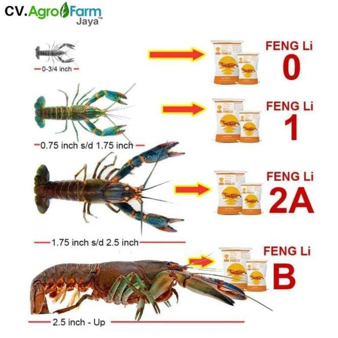Pescare- Pelet Fengli 1 Kemasan 1 Kg