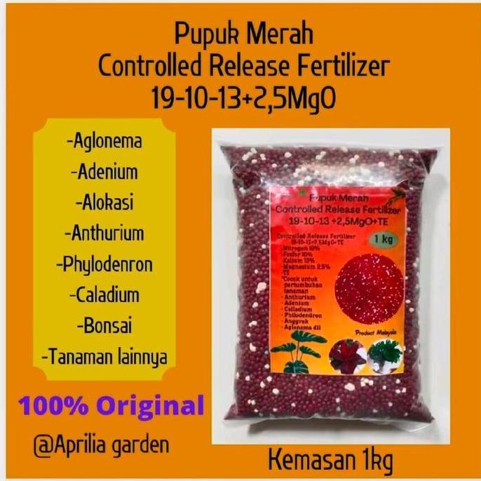Glasrai- Pupuk Osmocote Merah 19-10-13 - 1Kg Slow Release Fertilizer Aglonema,Bonsai