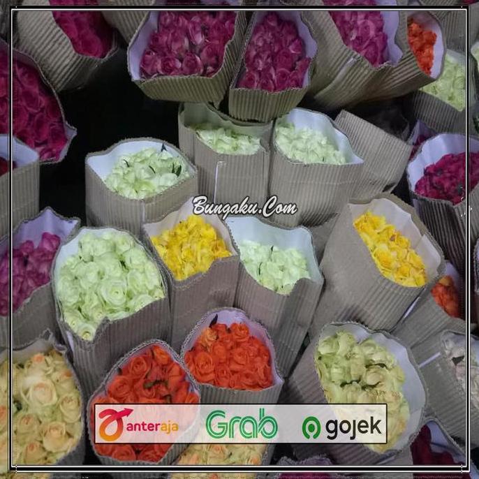 TERBARU|TERMURAH|BARU|PREMIUM|TERLARIS|GARANSI|DISKON|PROMO BUNGA MAWAR SEMI HOLLAND / BUNGA MAWAR B