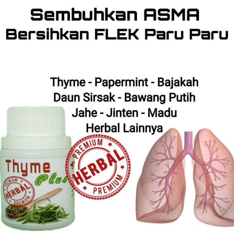 Ampuh Obat Asma Bersihkan Flek Paru Paru Dan Tbc 100% Original Herbal Alami Thyme Plus