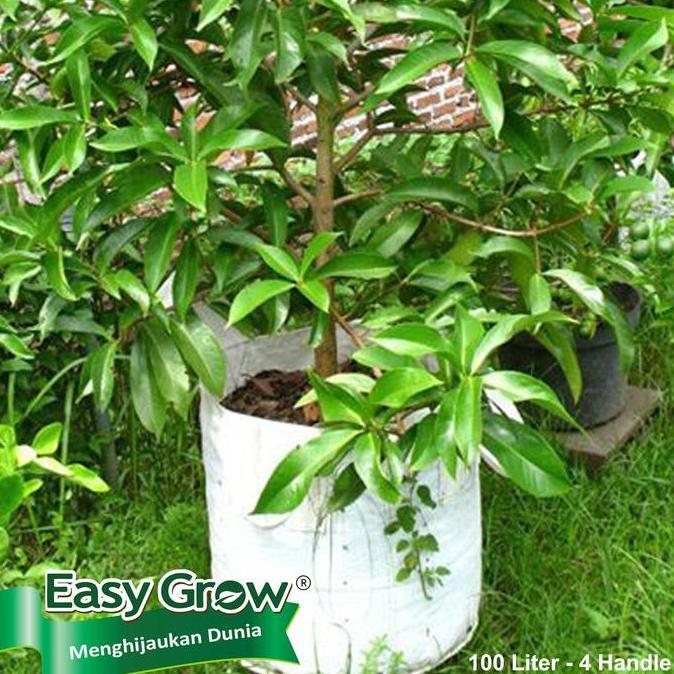 Planter Bag Easy Grow 100 Liter