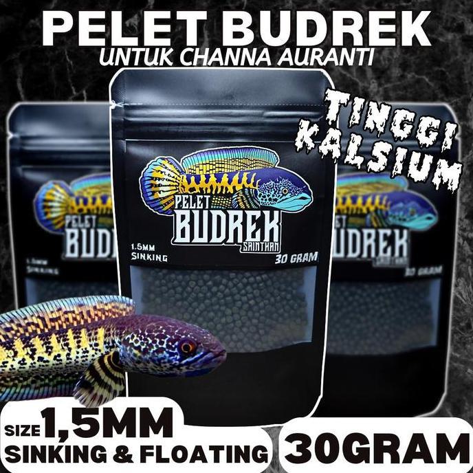 Pelet Budrek Auranti SaintHan booster warna biru dorsal, yellow rim, gondrong dan highfin di channa 