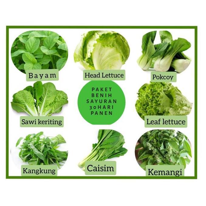 Paket Benih / bibit sayuran 30 hari panen (8 jenis sayuran, kangkung pakcoy bayam sawi caisim kemang