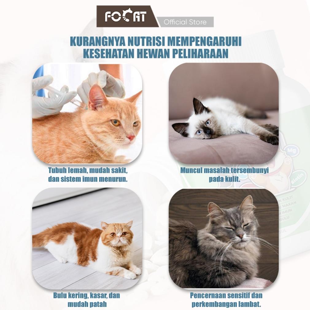 WARSIHLAPAK [PAKET HEPI 1] FOCAT GUNTING KUKU ANJING KUCING F29  F14 PET COMB BRUSH GRATIS VITAMIN K