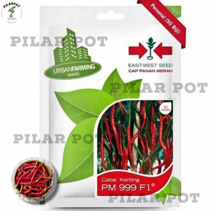Parkz- Benih Bibit Cabe Keriting Pm 999 F1 Cap Panah Merah - Cabai Pm 999 F1