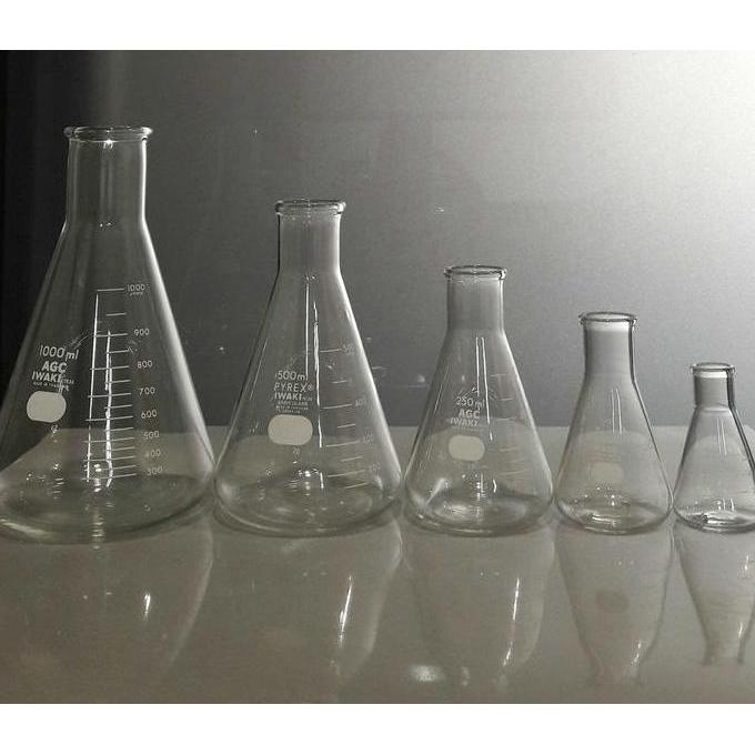 ERLENMEYER IWAKI PYREX 500ML