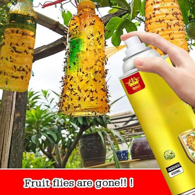 ICHENGO Lem Perekat Lalat Buah Serangga Mengendalikan Lalat Buah Perangkap Serangga Lalat Buah Terba