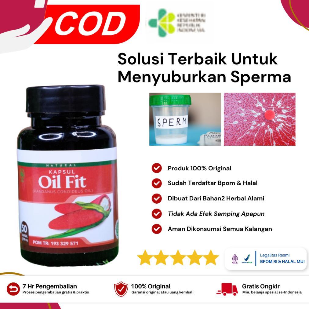 (Terbaru) Oil Fit Herbal Penyubur Sperma Pria Pengental Sperma Pria Penambah Sperma Pria Azoospermia