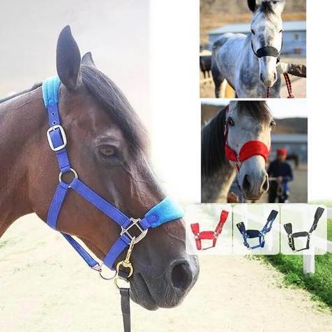 Tali Bridle Kuda/Tali Kekang Kepala Kuda/Tali Kendali Kuda/sabuk kuda