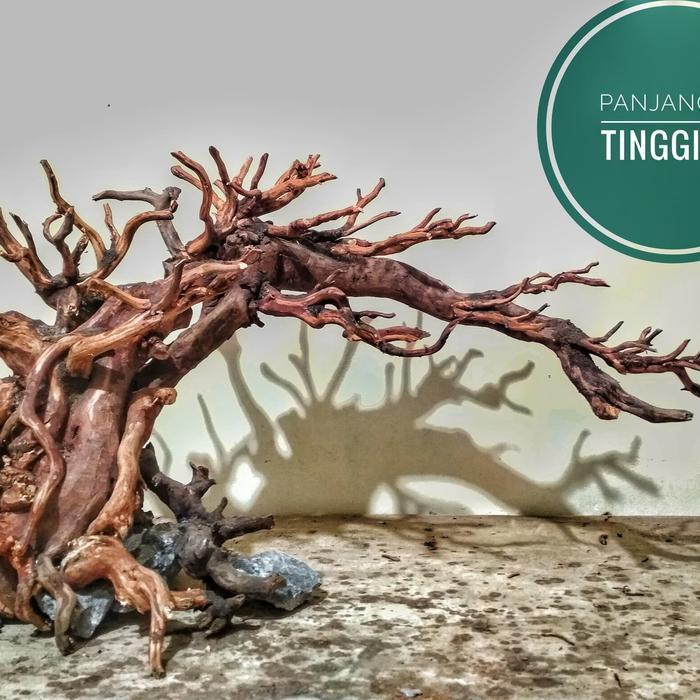 hardscape bonsai aquascape