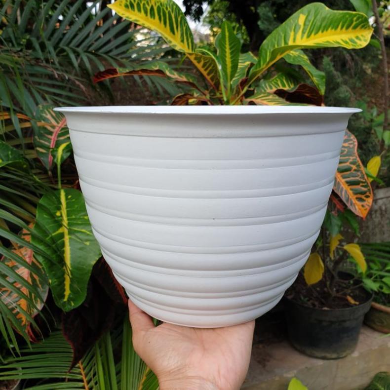 Promo Cod Mirai Pot Tanaman Hias Motif Tawon Putih/Pot Tanaman/Pot Hias/Diameter Pot 20 Cm Asli Akur