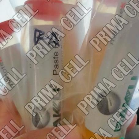 Flux Baku Pasta Solder Suntikan