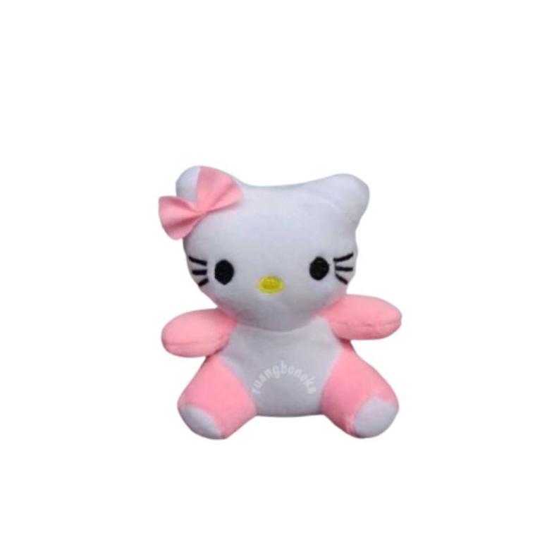 HOT PRODUCT Boneka Karakter Mini Boneka Bucket Wisuda Hello Kitty Pooh Monkey Duck Panda Marry Cat R