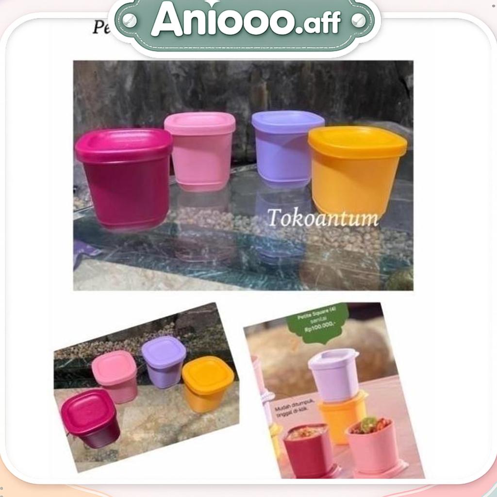 Tupperware Petite Square
