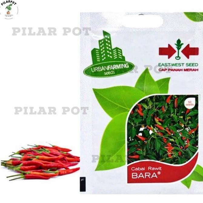 Parkz- Benih Bibit Cabai Rawit Bara Cap Panah Merah - Cabai Rawit Bara
